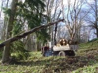  crane used to pull them up as well